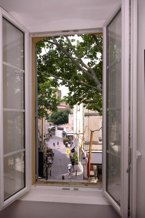 Le Nostradamus - Magnifique Appartement Cours Principal Plein Centre Avec Parking سالو دو بروفونْسْ المظهر الخارجي الصورة