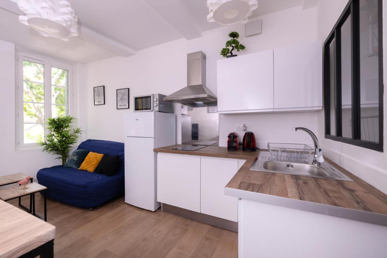 Le Nostradamus - Magnifique Appartement Cours Principal Plein Centre Avec Parking سالو دو بروفونْسْ المظهر الخارجي الصورة